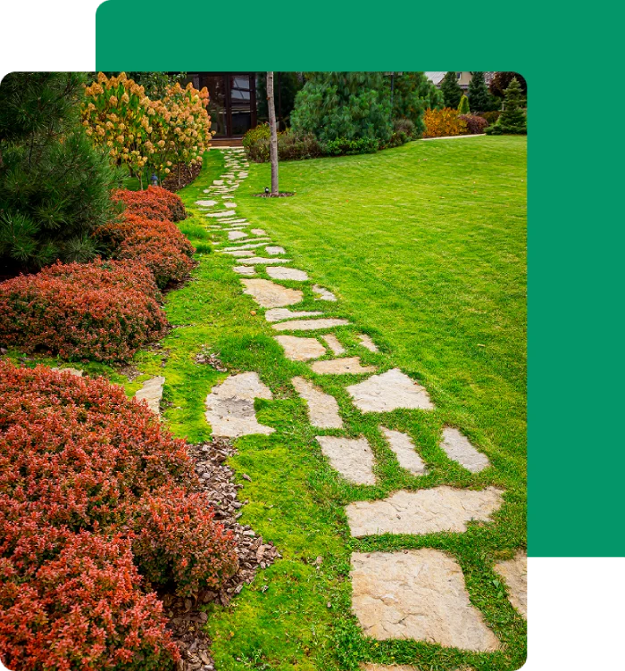 footpath between lawn