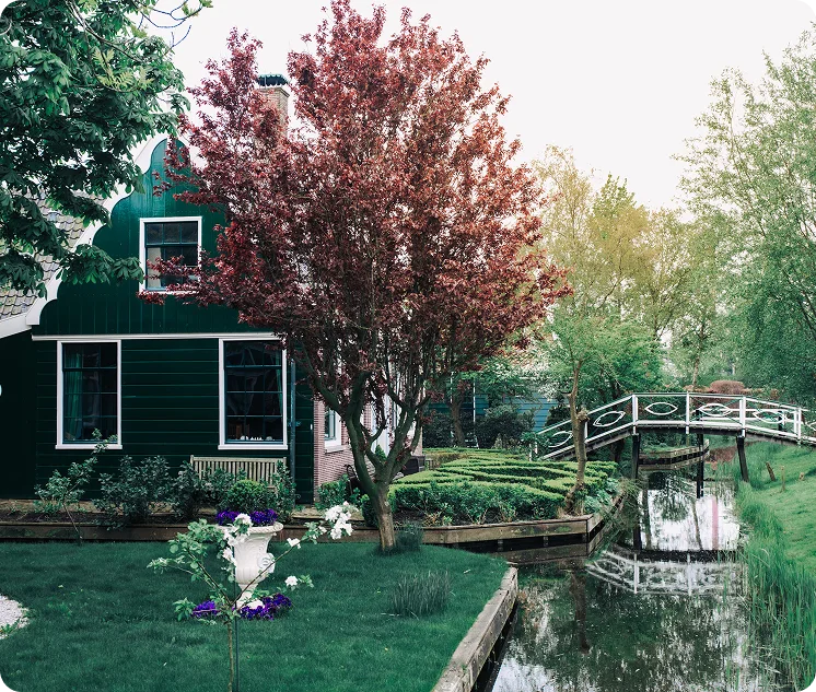 beautiful-house-location