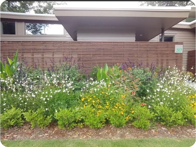 A vibrant garden filled with colorful flowers and plants, situated in front of a charming house.