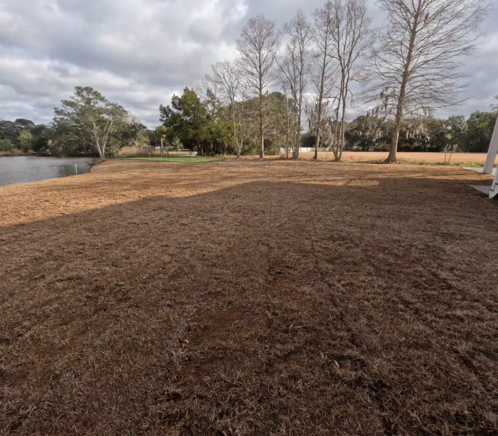 How Long Does Sod Installation Take?