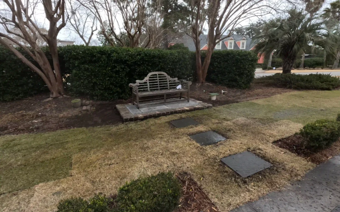 Drainage Solutions & Grading for Charleston Properties: A Complete Guide