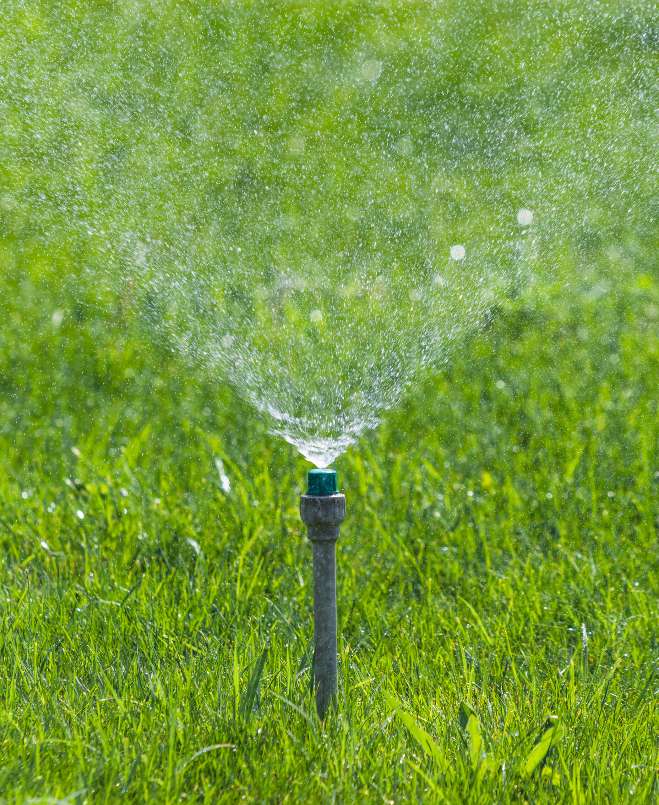 Why Proper<br />
Irrigation Matters