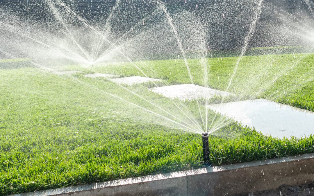 Irrigation System Installation & Maintenance Guide for Charleston