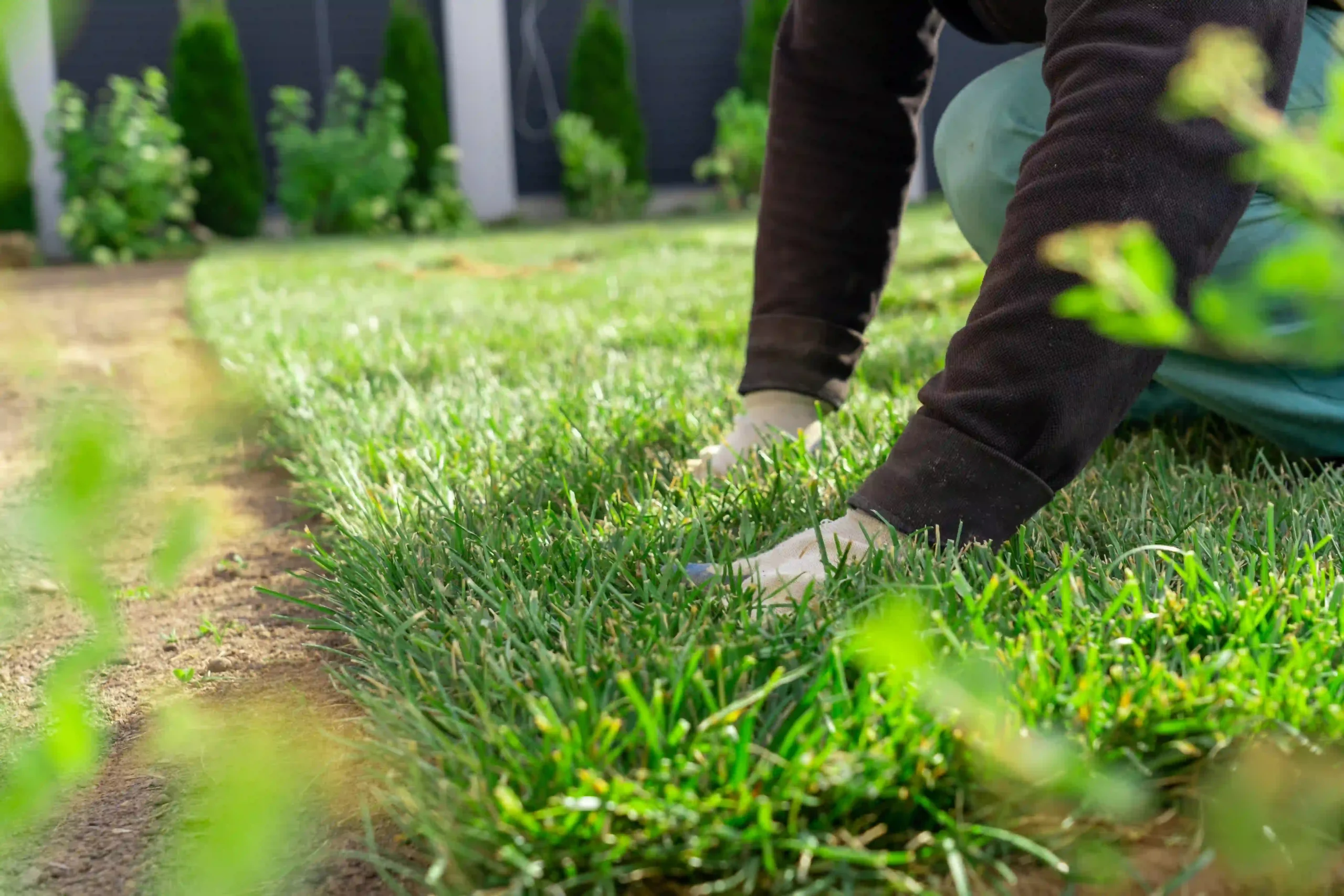 Charleston Sod Installation