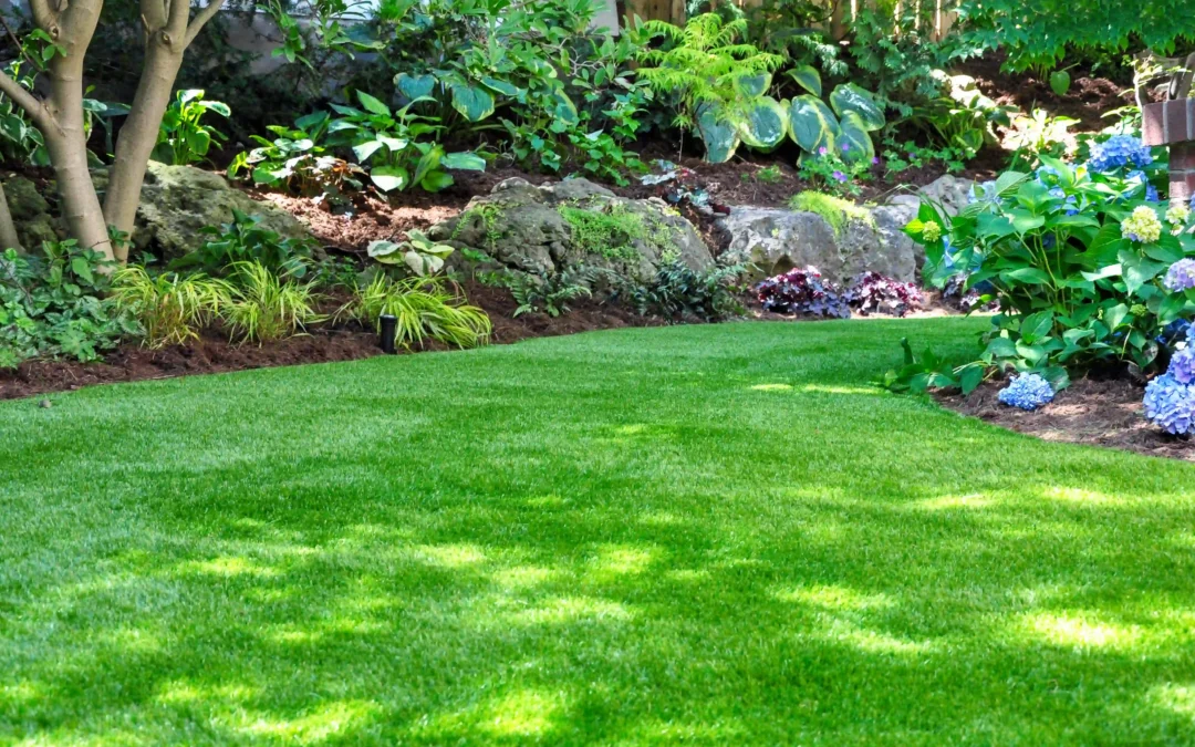 Artificial Turf vs. Natural Grass: The Charleston Homeowner’s Ultimate Guide