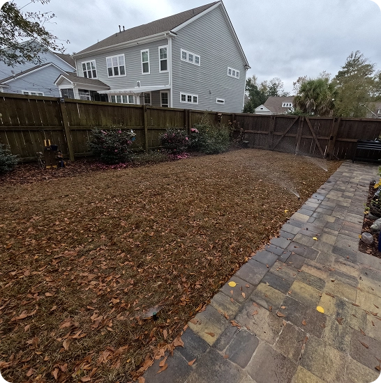 Local Expertise for Kiawah Island Landscapes