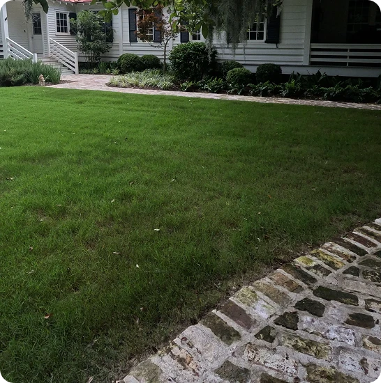 Local Expertise for Isle of Palms Landscapes

