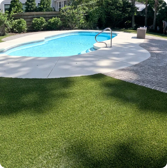 Local Expertise for Johns Island Landscapes