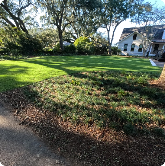 Local Expertise for North Charleston Landscapes