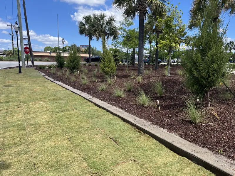 Fresh sod turf and mulch landscaping in Charleston, SC