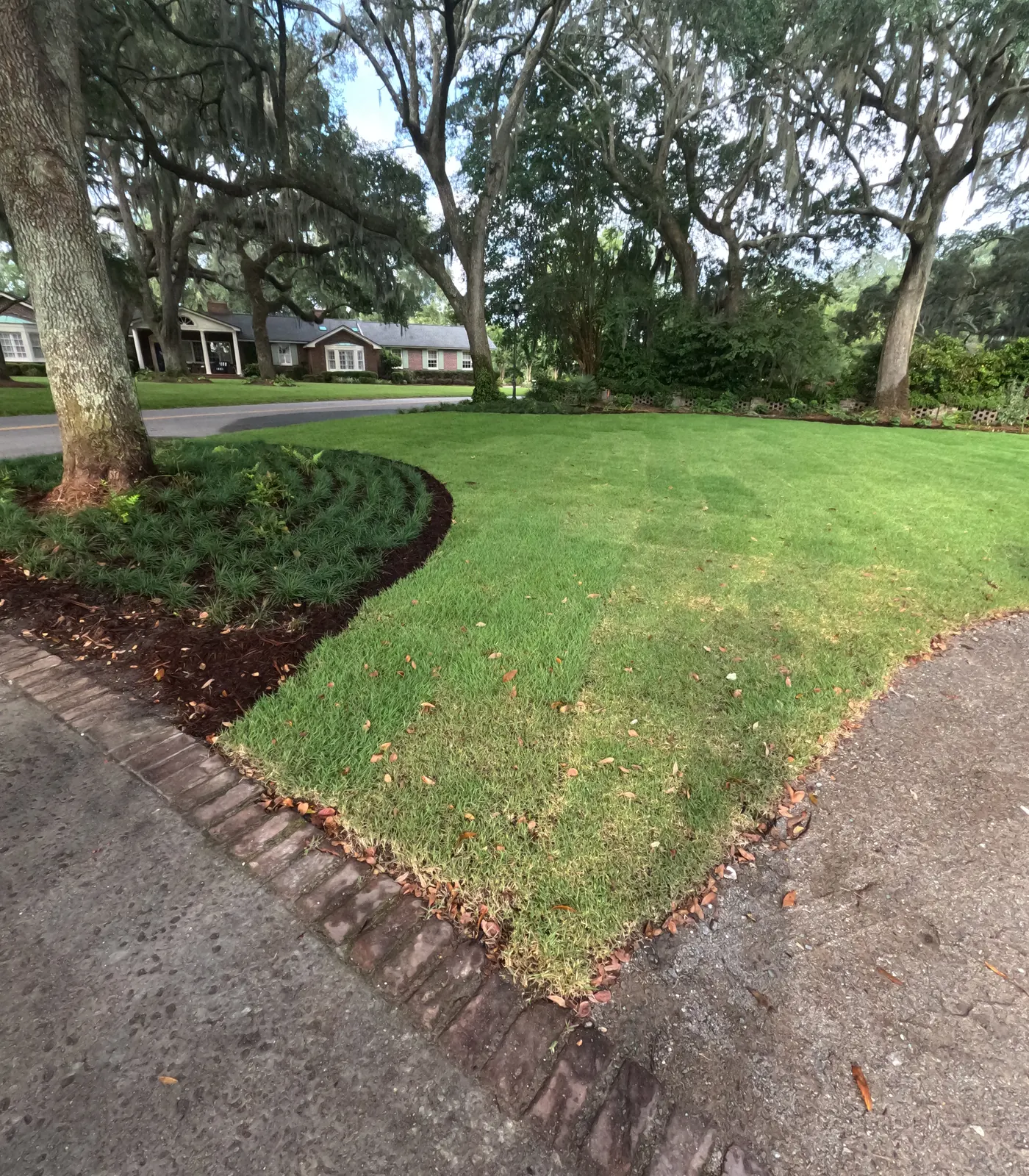 Established sod lawn with a brick border and mulched bed in Charleston, SC