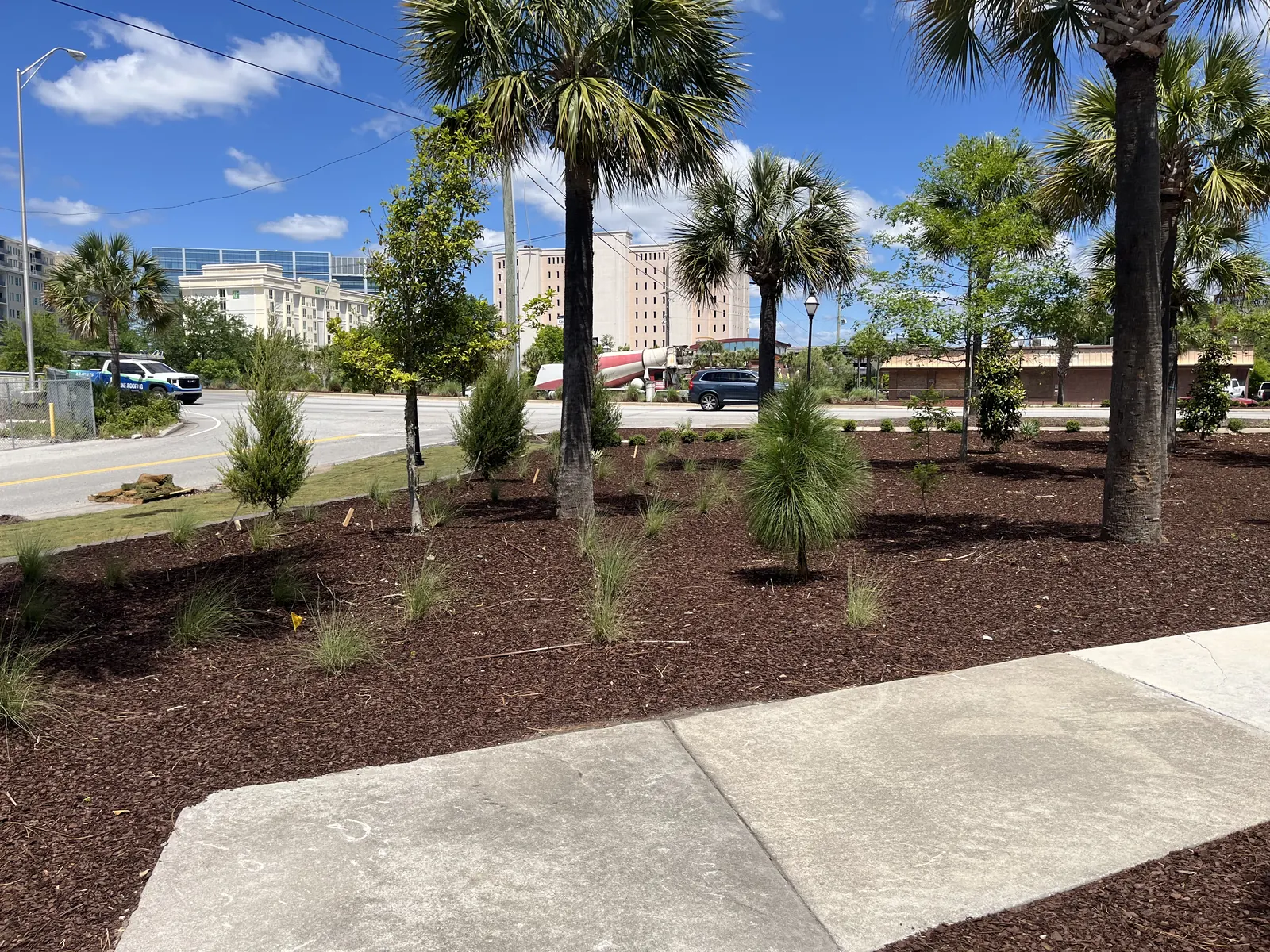 Mulch bed ornamental grass landscaping in Charleston, SC