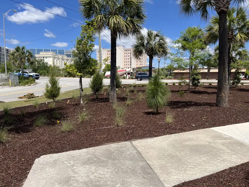 Mulch bed ornamental grass landscaping in Charleston, SC