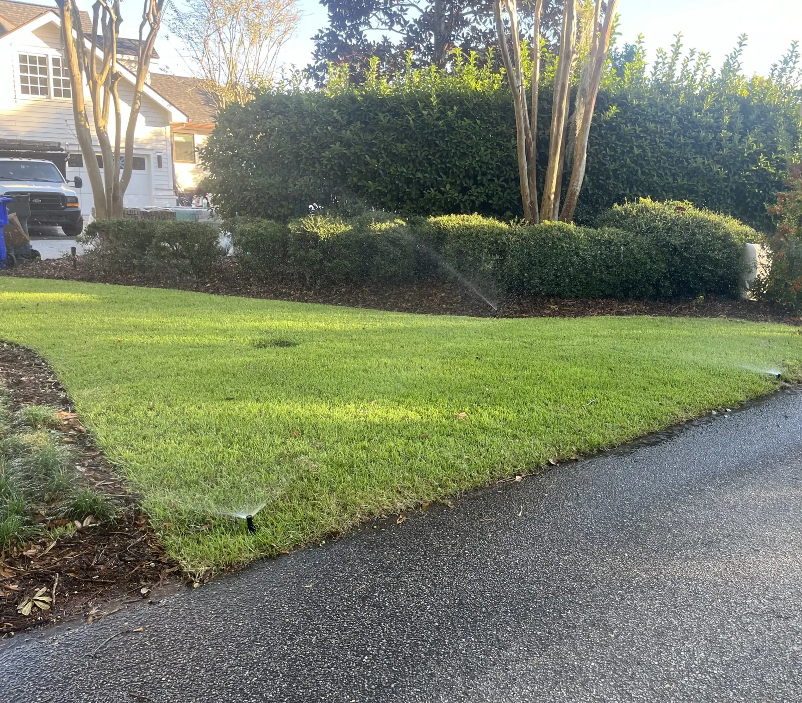 Pop-up sprinkler head watering a lawn beside a clipped hedge and driveway in Charleston, SC