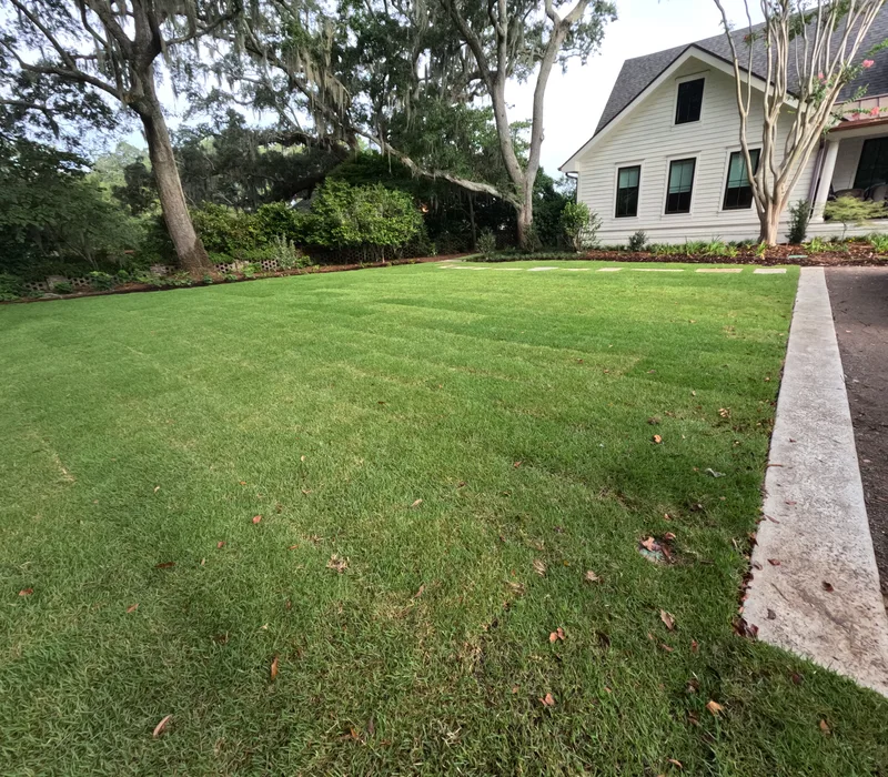 Zoysia front lawn with a tabby border in Charleston, SC