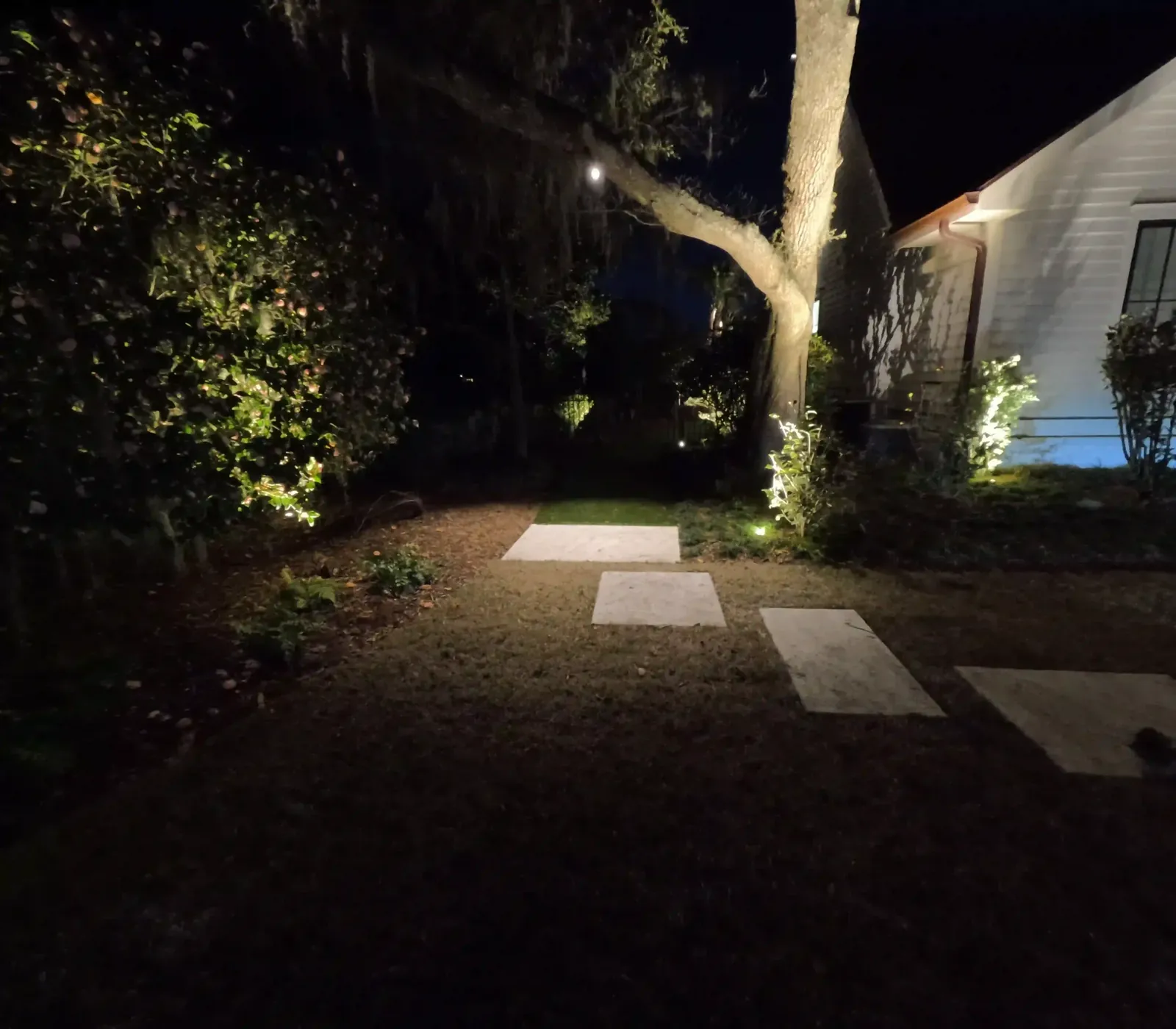 Stepping stone pathway and uplit live oak at night in a Mount Pleasant, SC backyard Stepping stone pathway and uplit live oak at night in a Mount Pleasant, SC backyard