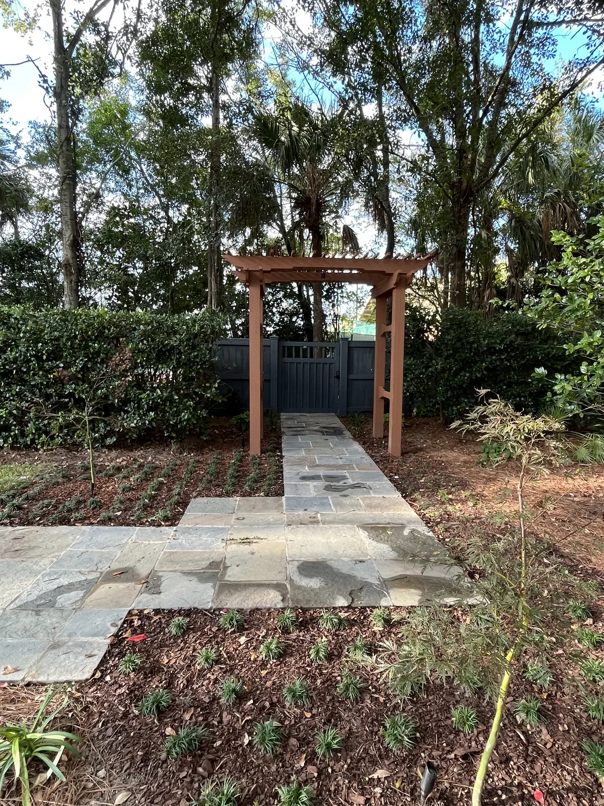 Pergola japanese maple landscaping by Cramers Landscaping, Charleston area