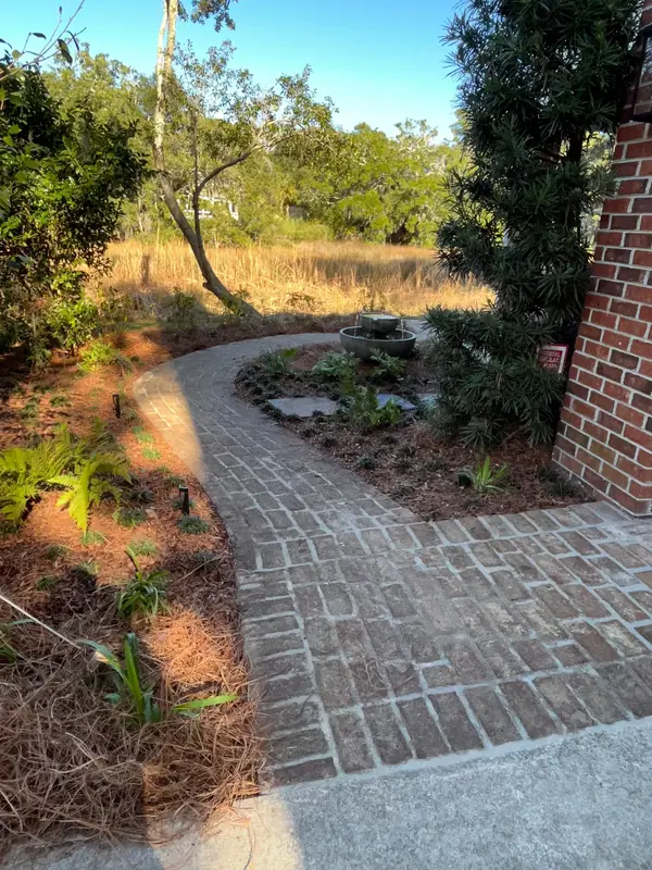 Backyard path in James Island, SC